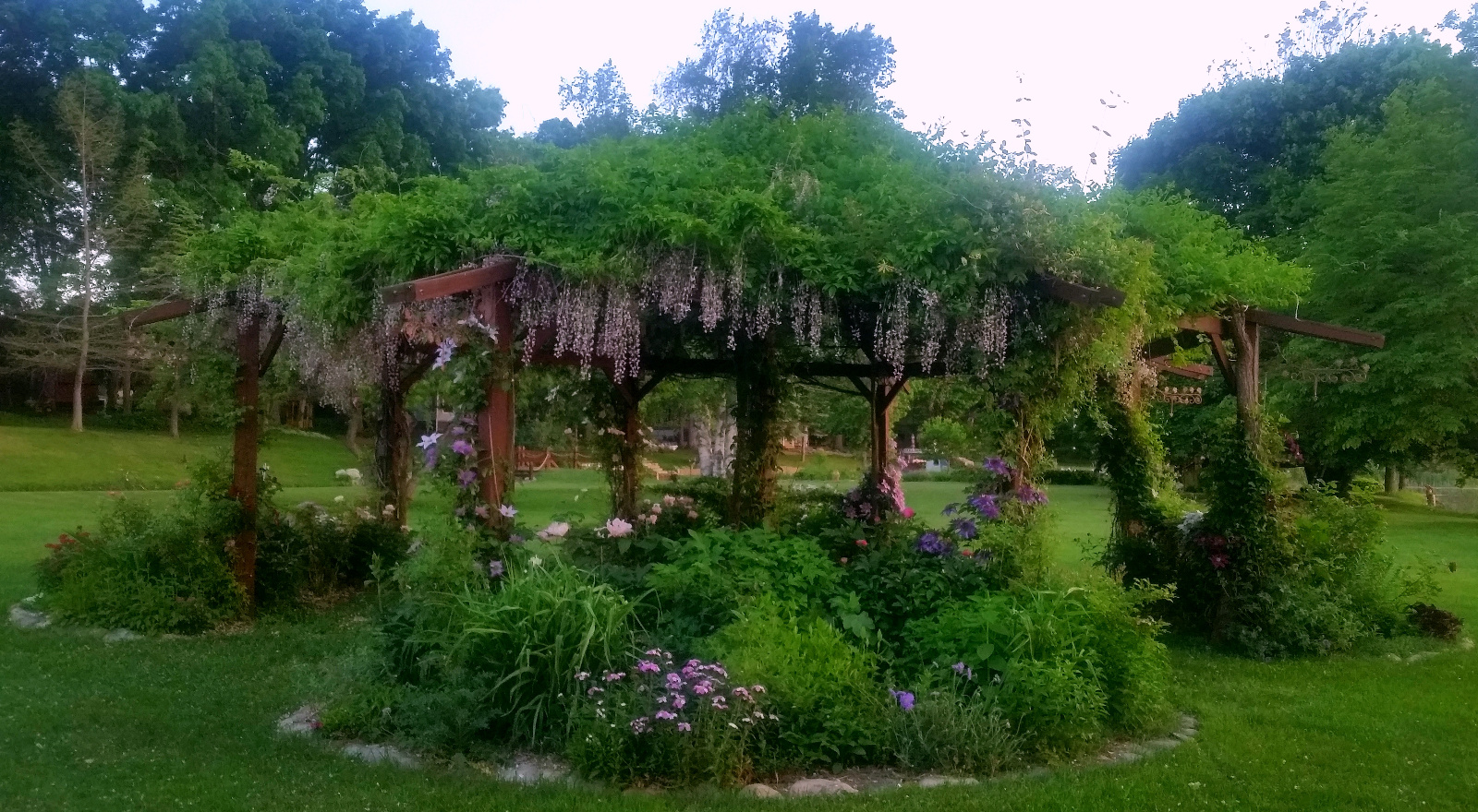 SPENT WISTERIA BLOOMS TOP FLOWERING GAZEBO; CLEMATIS CLIMB POSTS; ROSES, SCABIOSA, SWEET WILLIAMS AND GARDEN PEONY BLOOM INSIDE FLOWERBEDS